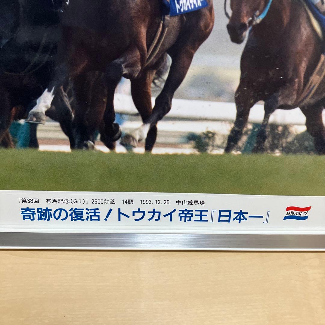 日刊スポーツ　トーカイテイオー公式パネル写真