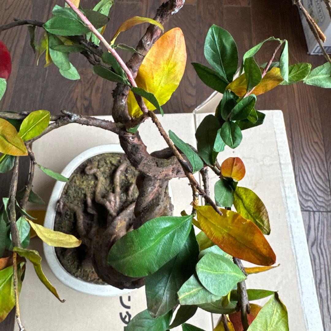 ザクロの木 置物 インテリア