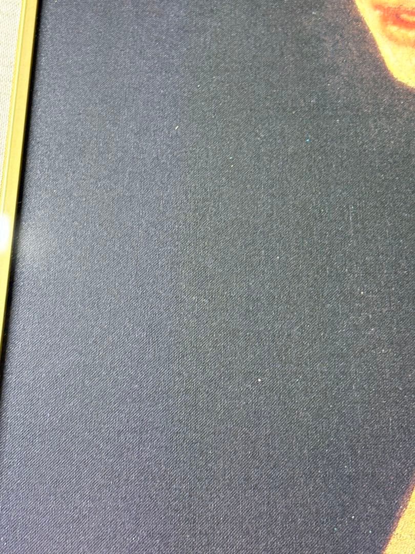 フェルメール　真珠の耳飾りの少女　青いターバンの少女　絵画　西洋絵画　印刷