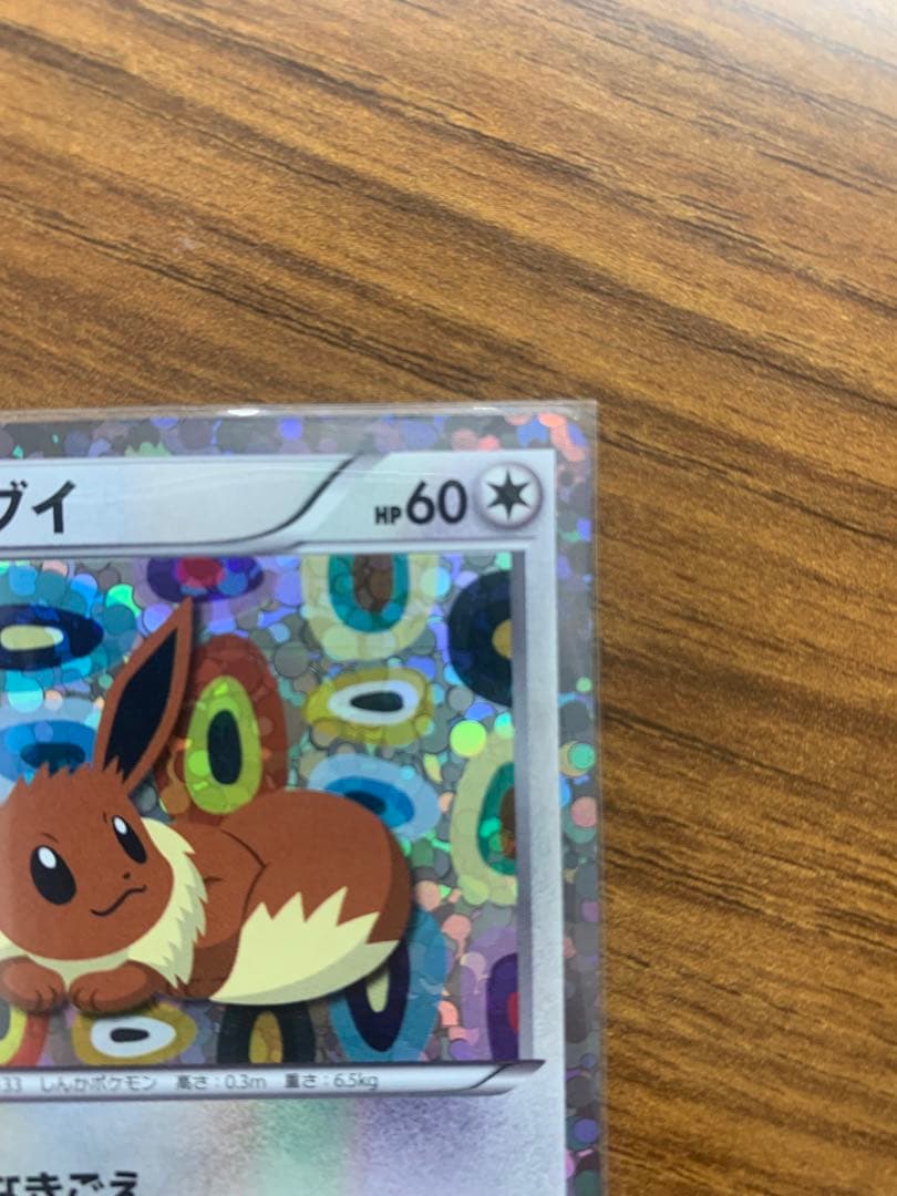 イーブイコレクション　セット売り