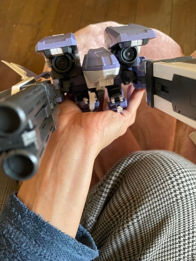 HG GNアームズ TYPE-D＋ガンダムデュナメス　ガンプラ　ガンダム00