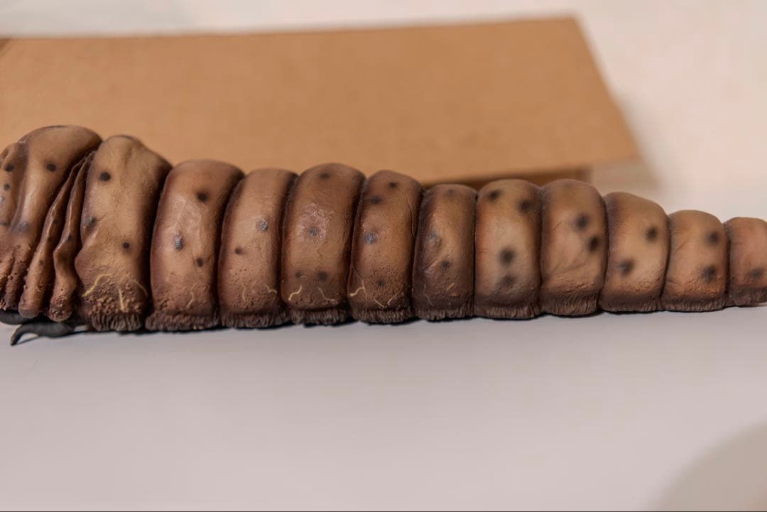 エクスプラス モスラ 1961 軟質版 限定100体 少年リック限定 ゴジラ