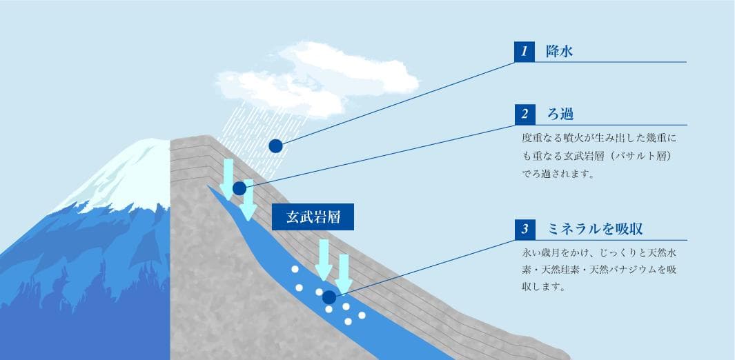 ホワイトバナエイチVanaH　500ml×24本入り×２セット【送料無料】