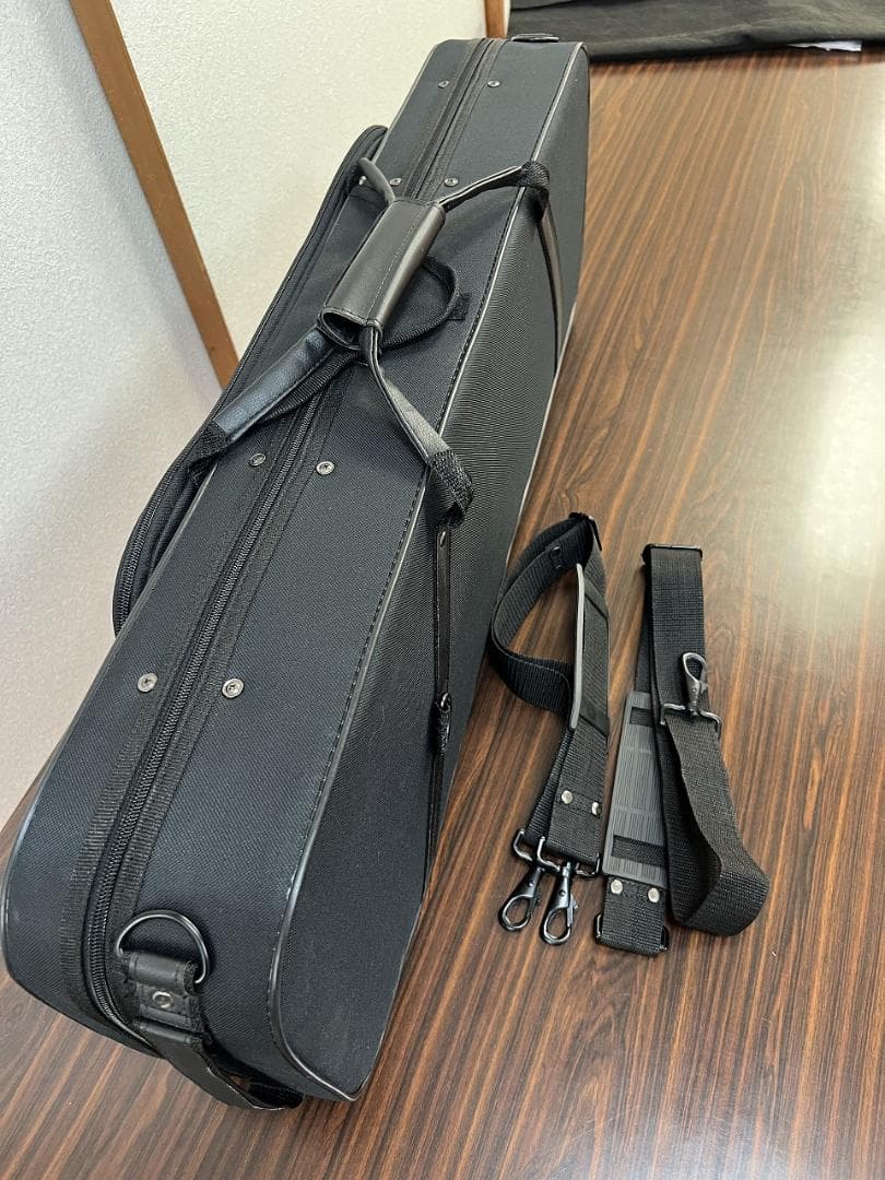 弦楽器 Alexandru Ozon Bucuresti Romania 2017