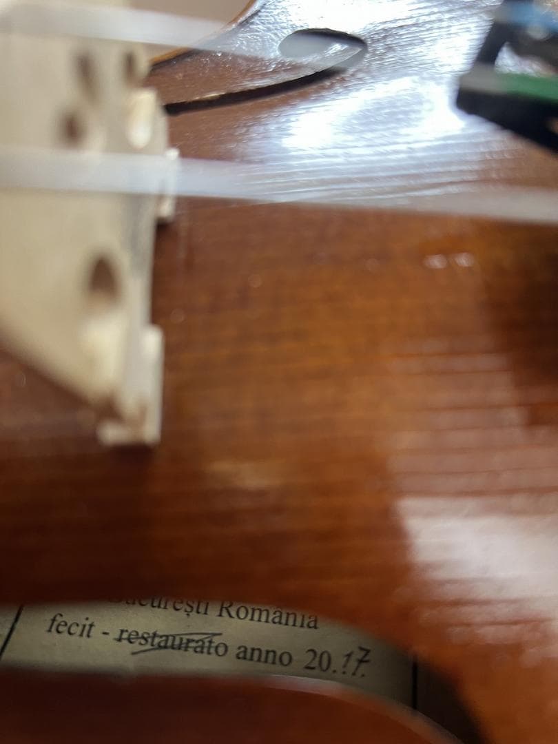 弦楽器 Alexandru Ozon Bucuresti Romania 2017