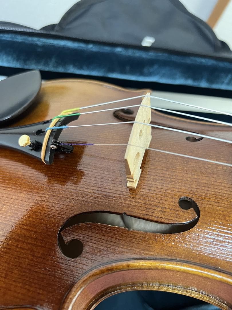 弦楽器 Alexandru Ozon Bucuresti Romania 2017