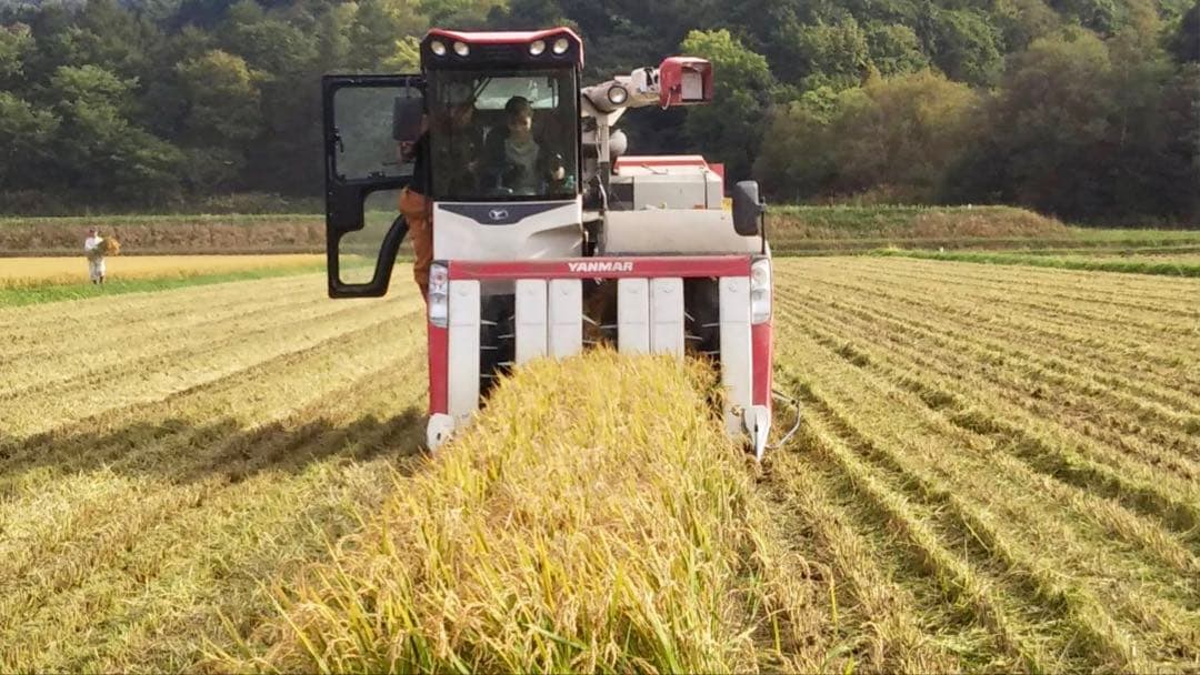 【記念セール】ななつぼし＊北海道産＊農家直送＊送料込み＊美味しいお米＊5キロ×2
