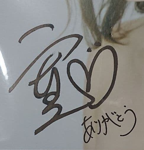 島袋寛子 直筆サイン入りパンフレット