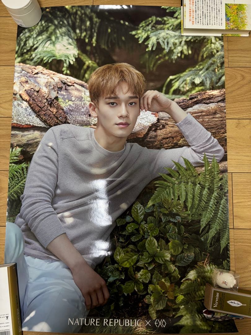 EXO CHEN チェン グッズ まとめ売り CD うちわ ポスター