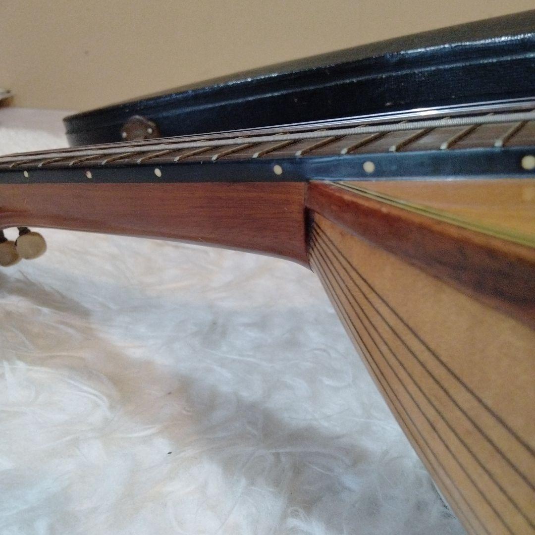 Suzuki マンドリン M-30