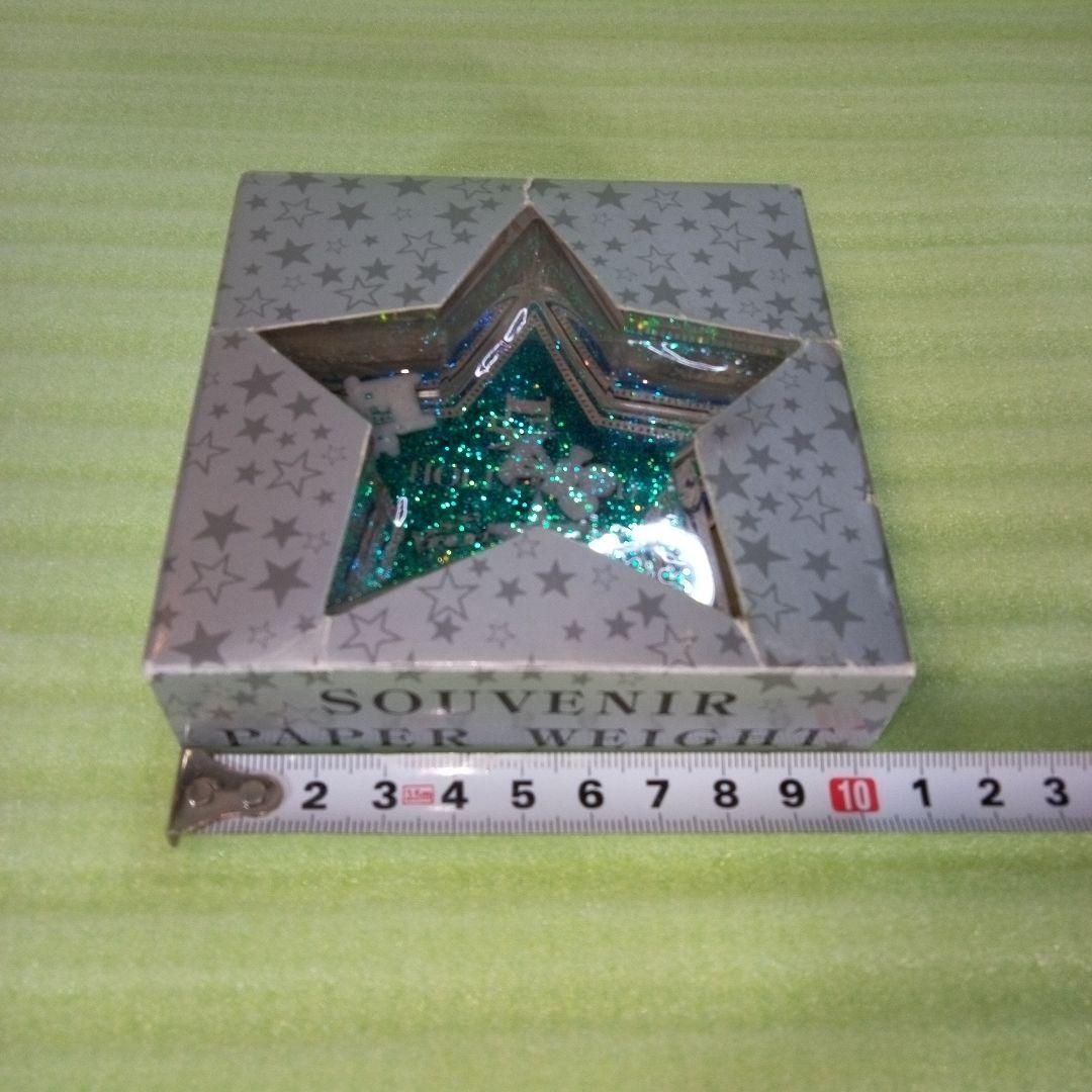 SOUVENIR PAPER WEIGHT　HOLLY WOOD　星形　星型