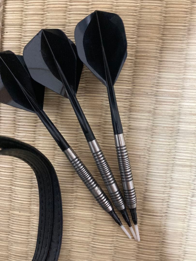 レイジーゼロ ダーツセット 2BA 限定モデル