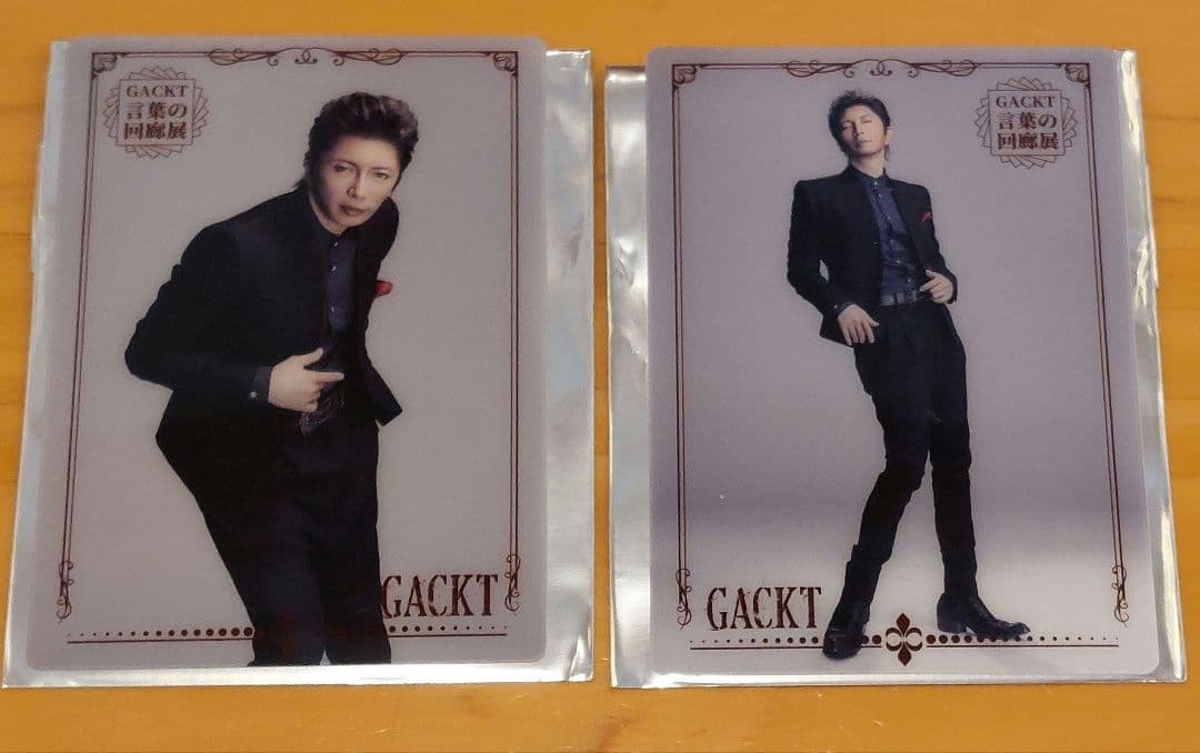 GACKT　パンフレット　回廊展　クリアカード　YFCz　ミニタオル　2025