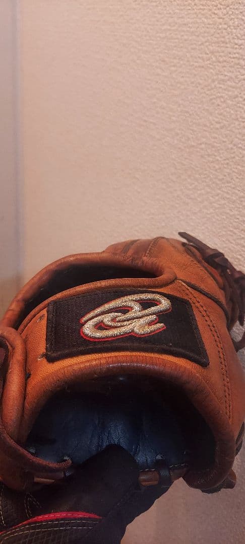 に*ん様 ドナイヤ軟式　内野用グローブ　大人用