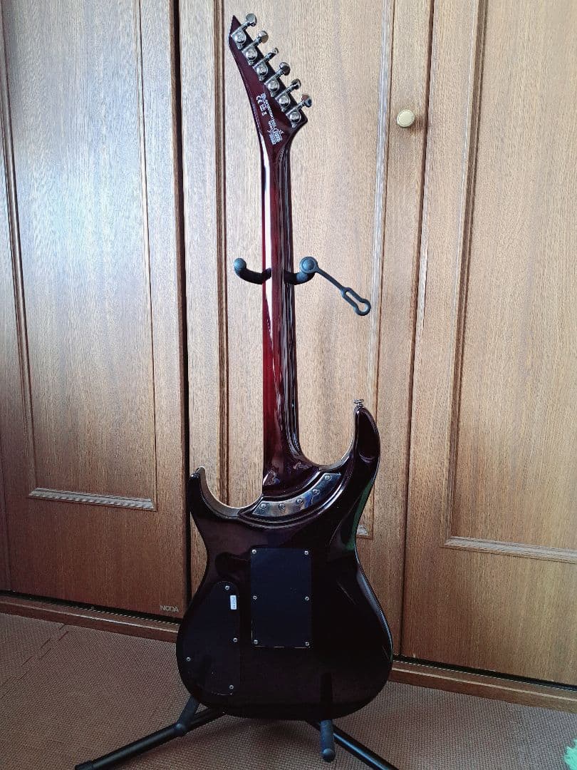 【貴重/生産終了】Washburn PXS10FRDLXWB-D