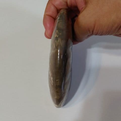 アンモナイト化石  555グラムBIG