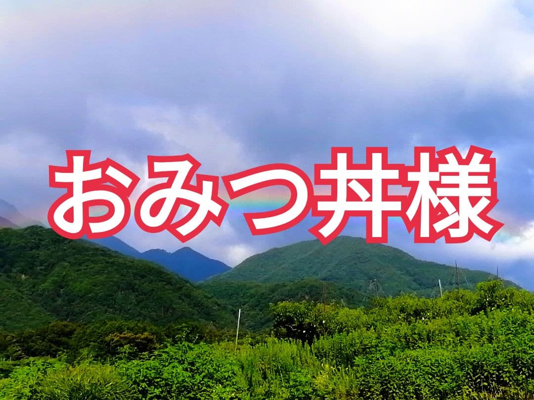 おみつ丼様　御注文のお品桃