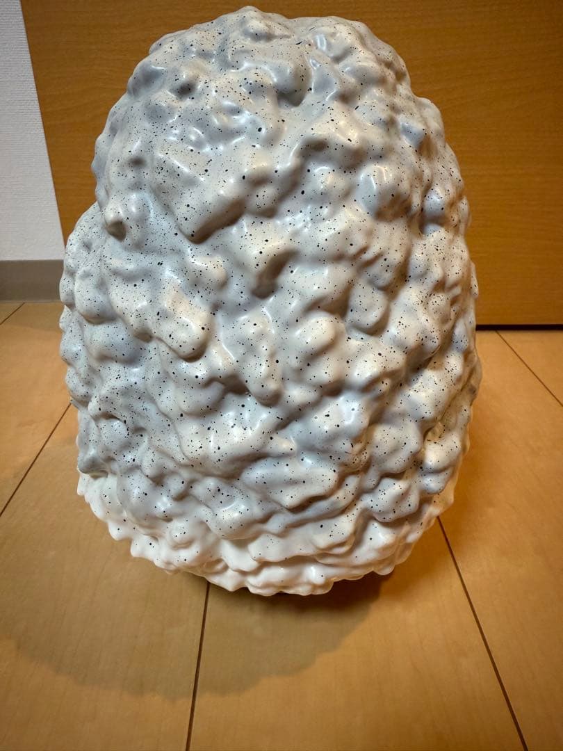 その他 neighborhood Dr.woo KAKIGORIMAN