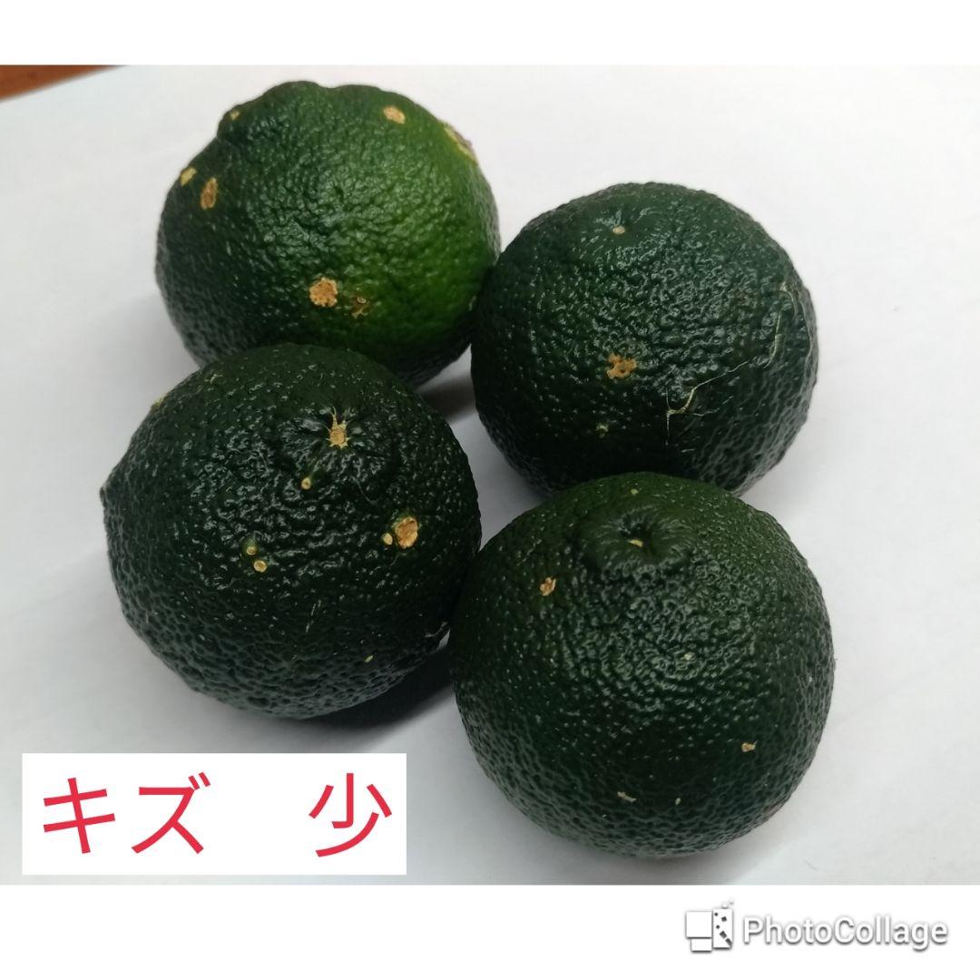 農家直送　宮崎県　西米良の青ゆず　キズ少なめ　約10kg