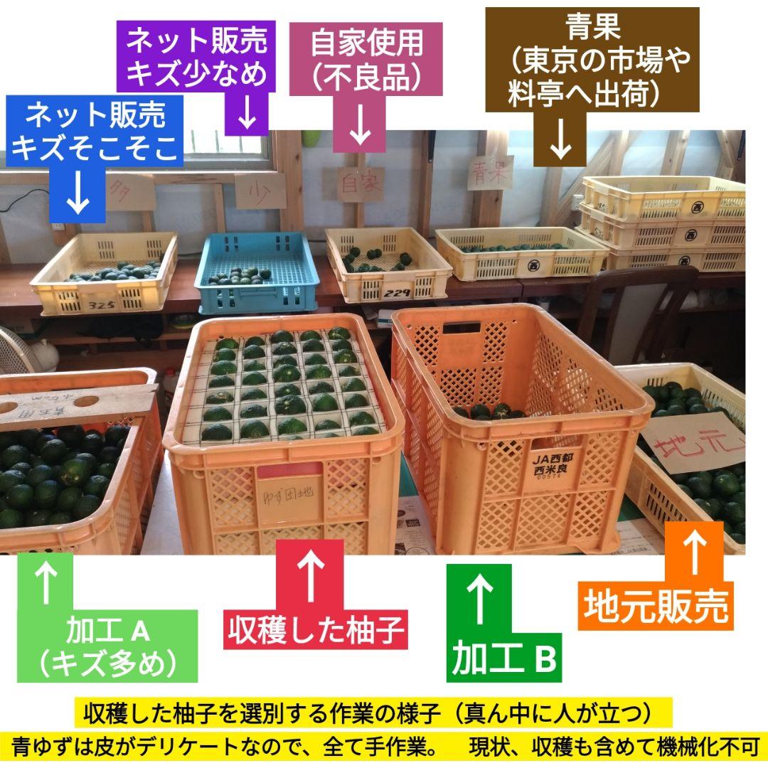 農家直送　宮崎県　西米良の青ゆず　キズ少なめ　約10kg