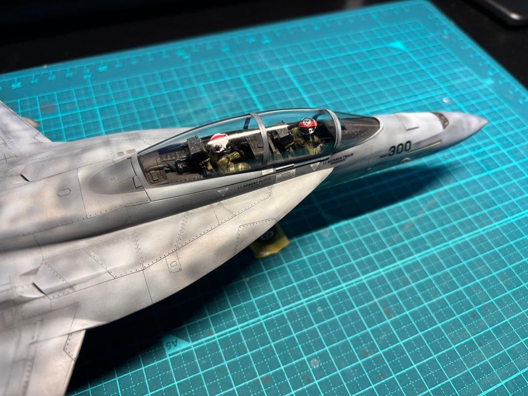戦闘機　プラモデル　完成品　ハセガワ　1/48 F/A-18F
