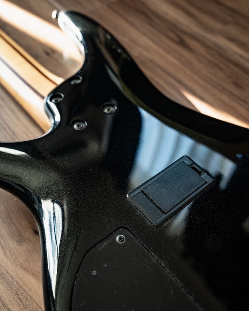 ibanez アイバニーズ５弦ベース+ギグバッグ　ブラック