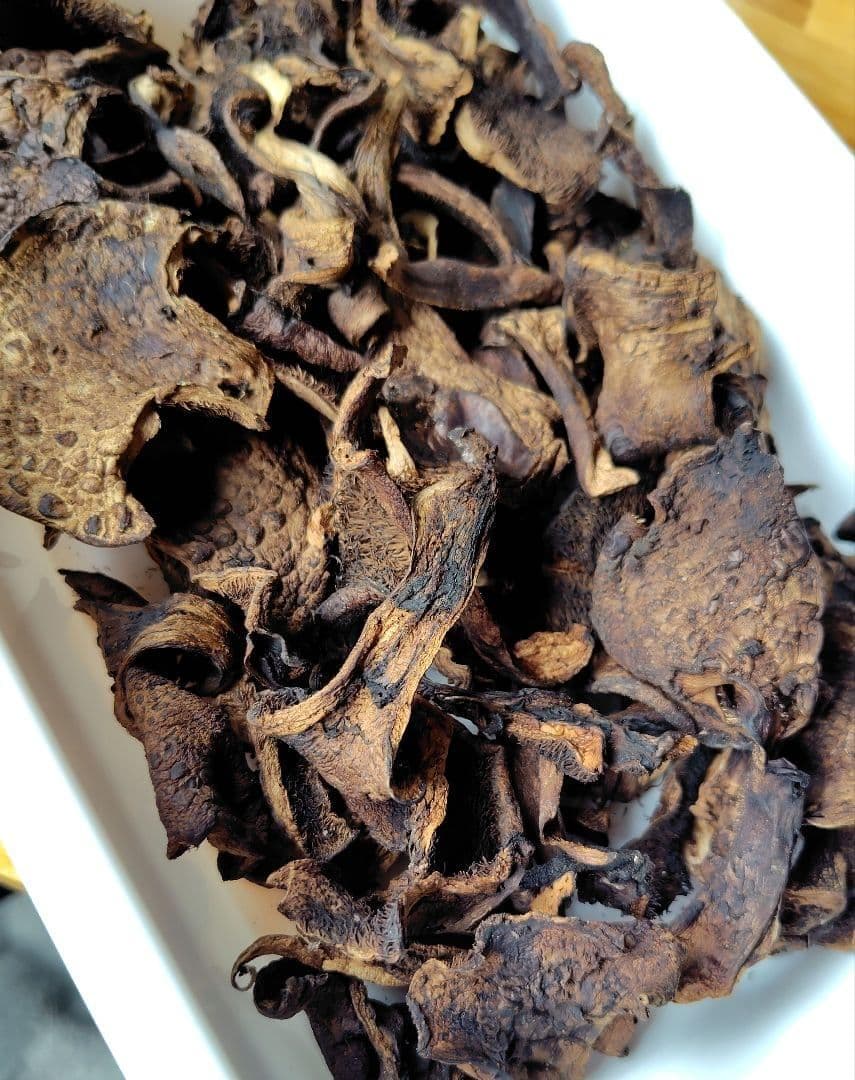 香茸 乾燥100g コウタケ 国産 北アルプス 天然きのこ　アドバイスフォロー