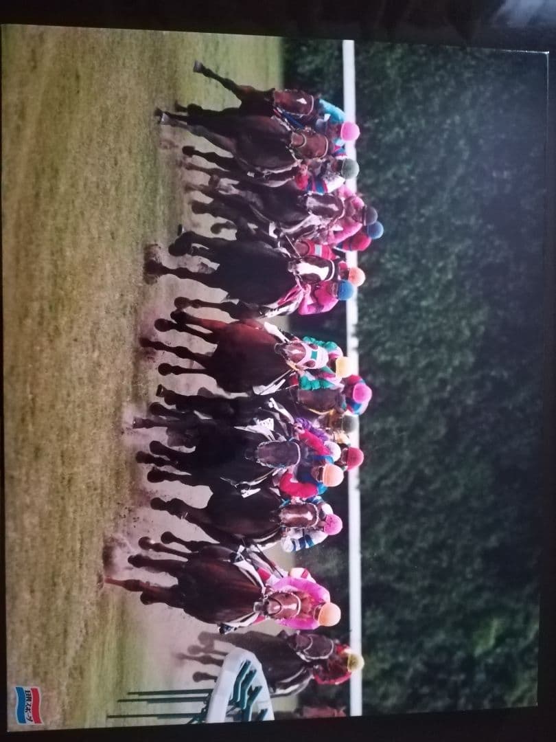 ミホノブルボン木製パネル