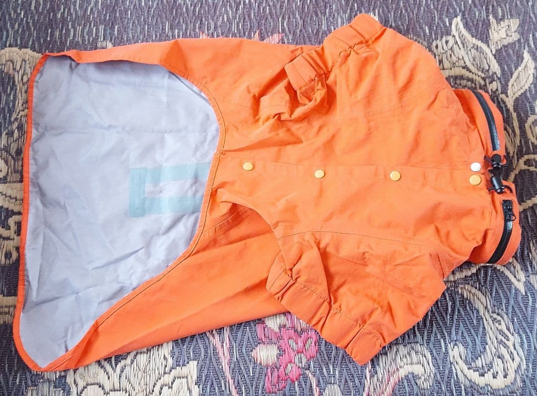 犬用 服、帽子、本 セット