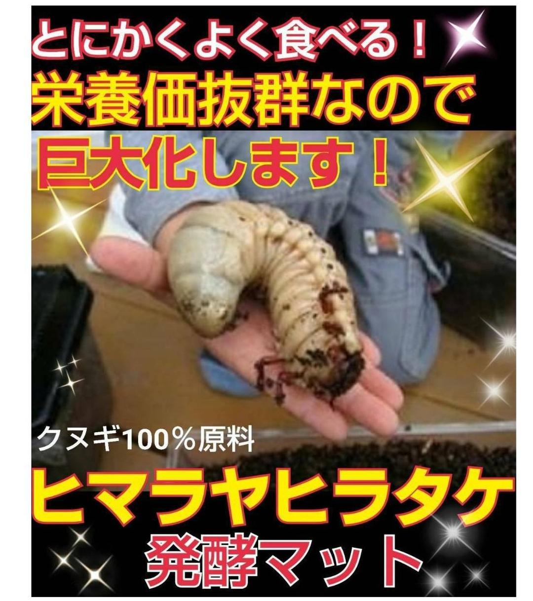 カブトムシ幼虫の餌、産卵に抜群！改良しました！発酵マット【たっぷり60リットル】