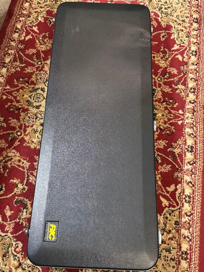 Rickenbacker Model330Fg 2023年製