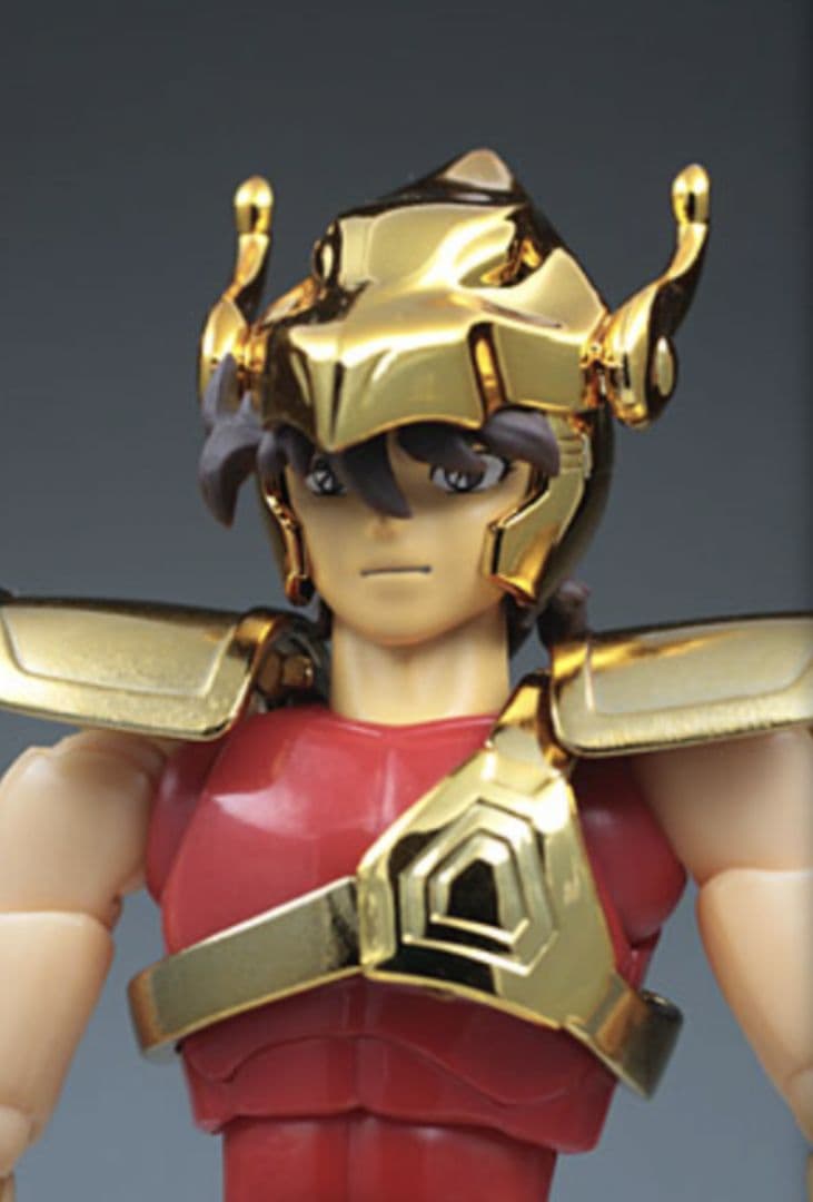 聖闘士聖衣神話 初期青銅聖衣 -LIMITED GOLD-　未使用 5体セット