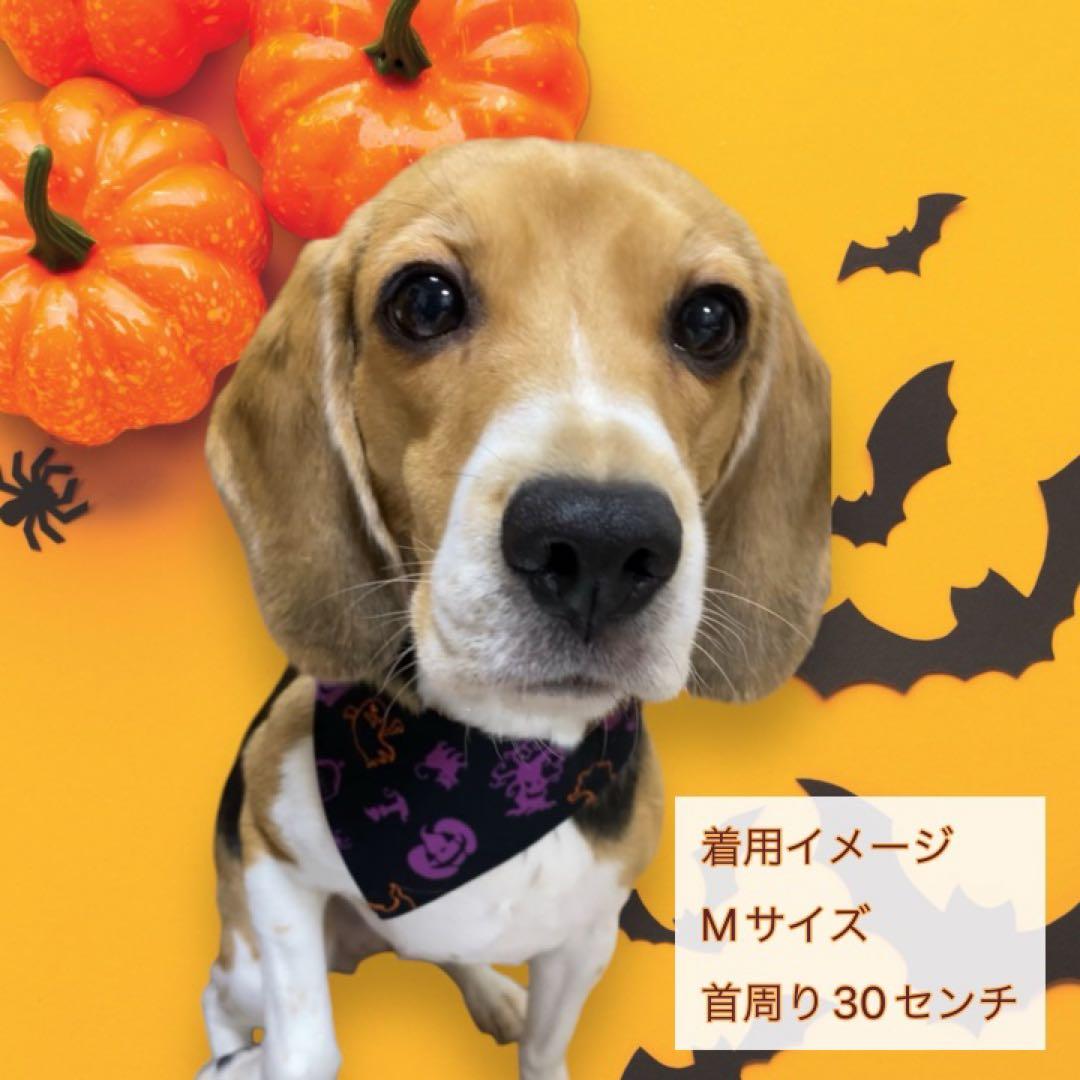 犬ネコ用リバーシブルバンダナ★着用イメージ写真★