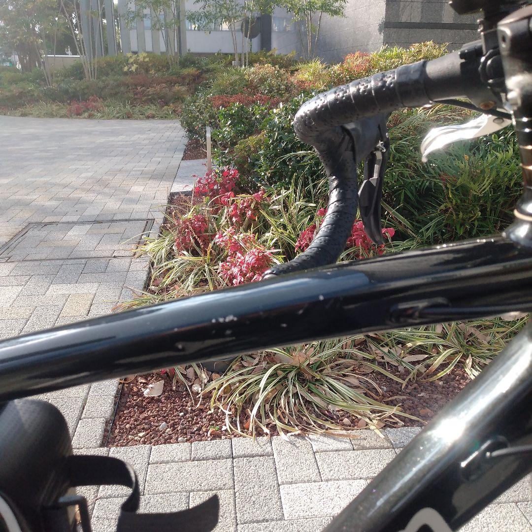 KhodaaBloom ファーナ クラリス　2023