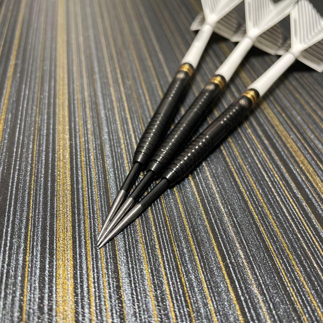 定価11800円 スティールダーツ ハードダーツ ダリルガーニー 23g