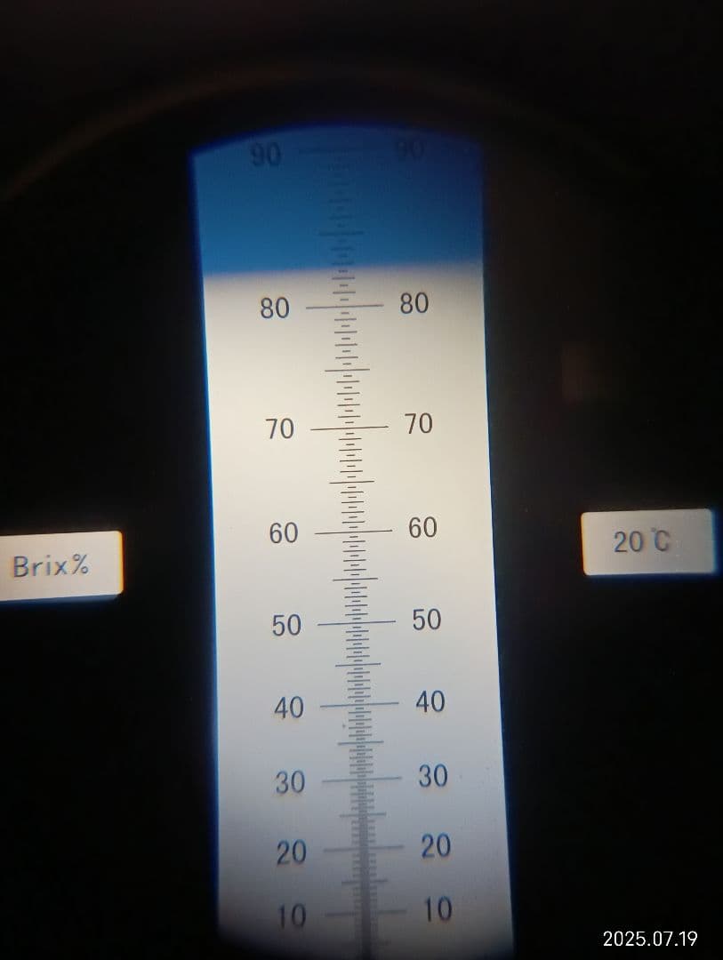 ニホンミツバチの百花蜜 国産天然ハチミツ　1180グラム 2本