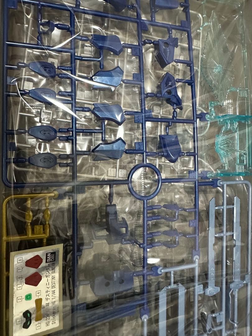 HG ガンダムベース限定 デスティニーガンダム [スペシャルコーティング]