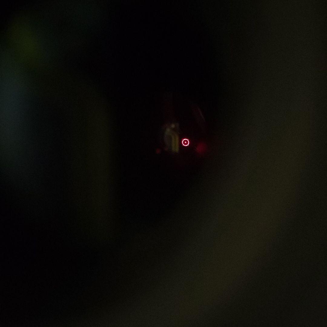 HOLOSUN 光学サイト