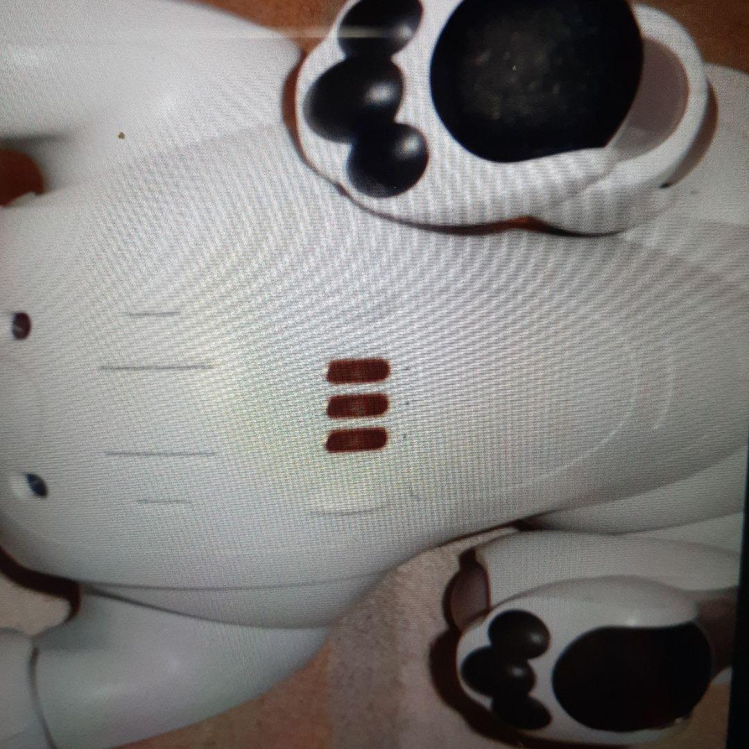 SONY アイボERS-1000 送料込