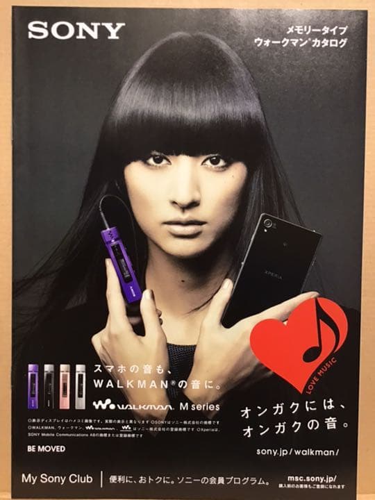 シシドカフカ　2014年　SONY 家電パンフレット　販促パンフレット　カタログ