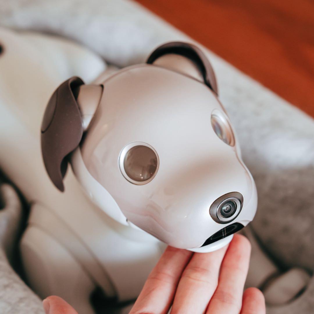 SONY aibo ERS-1000 アイボ