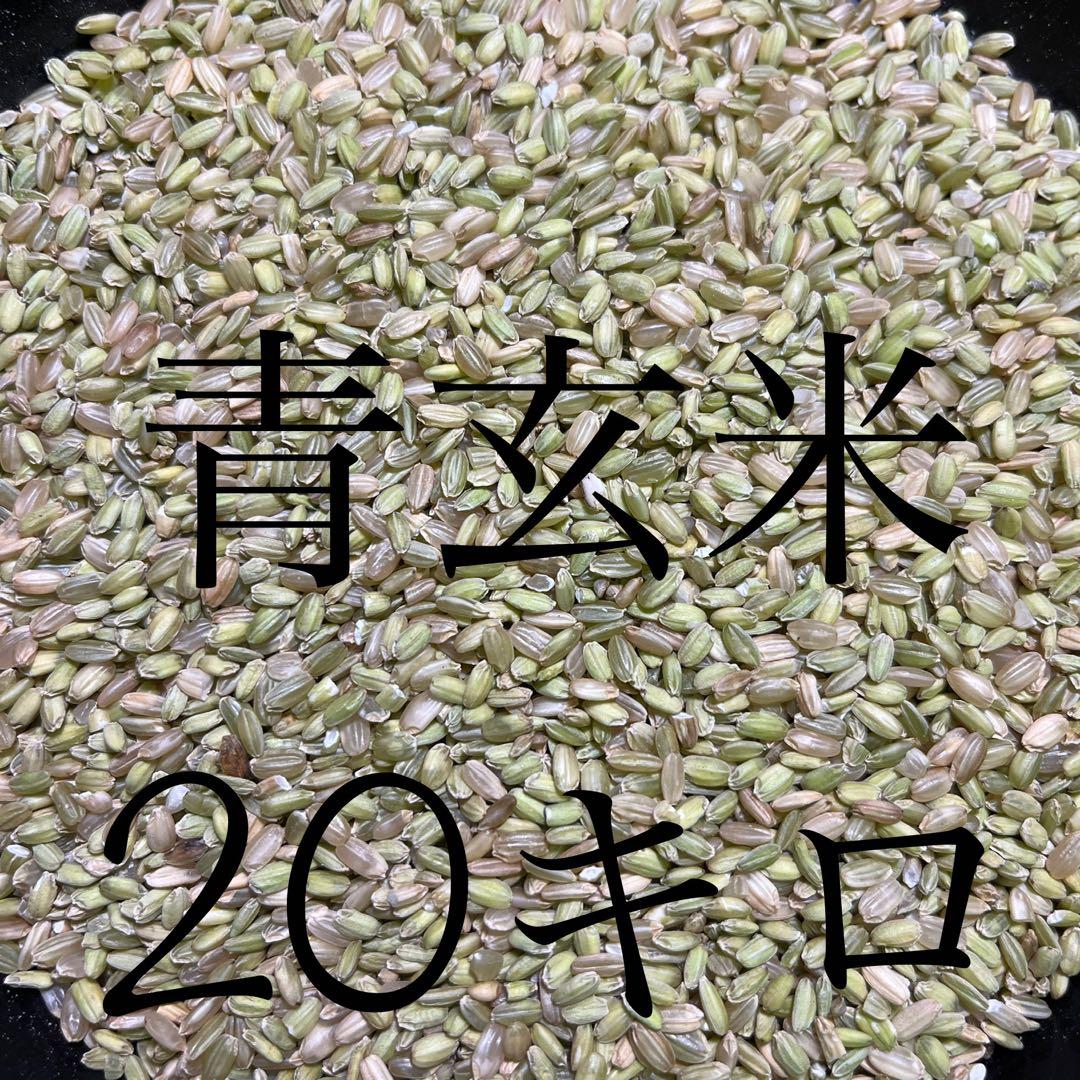 Hirororo　令和6年産　青玄米（うるち米）5kg×4