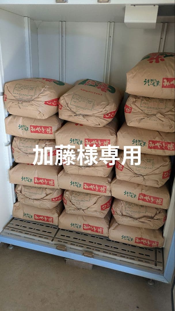 【加藤】ひとめぼれ玄米30kg