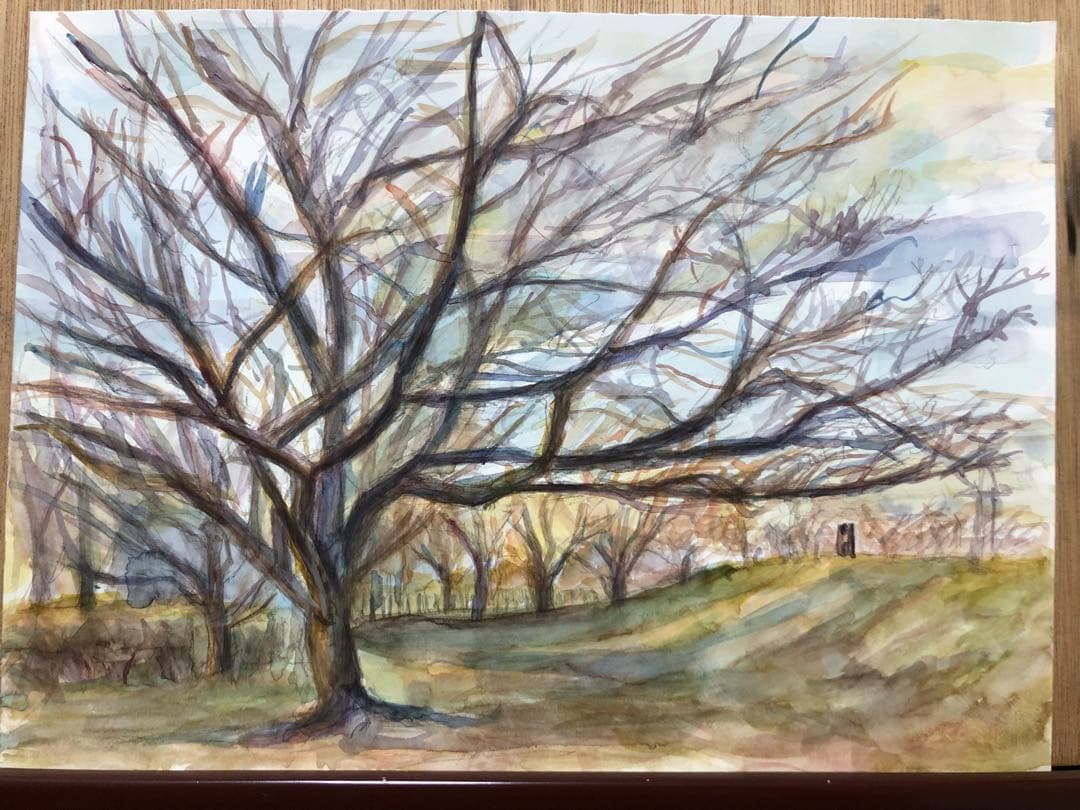 桜の木　冬　絵