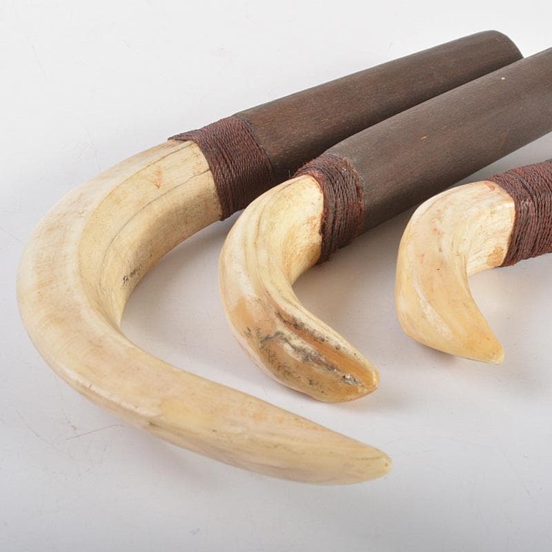 古民芸　イノシシ　猪牙　ちょき　根付　三点　検石見根付　V　6606