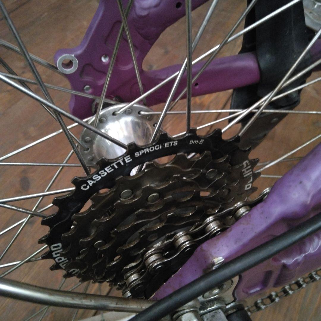 LOUIS GARNEAU MV1 ルイガノ ミニベロ