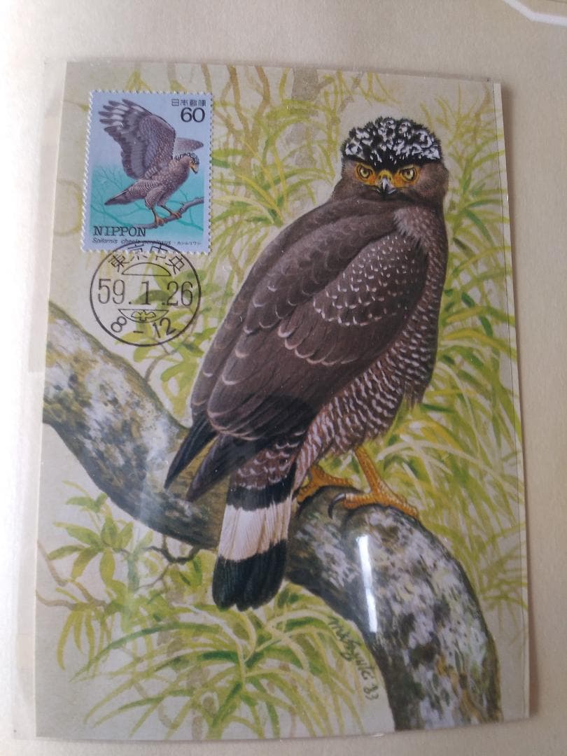 初日カバー マキシマムカード 特殊鳥類シリーズ切手コレクション 22通 新品