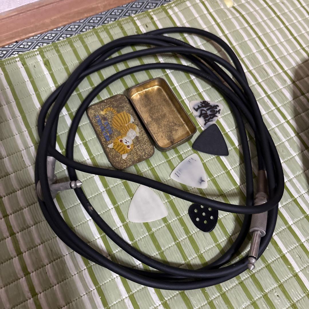 EDWARDS エドワーズ　E-I-85LP ルナシー イノランモデル　ギター