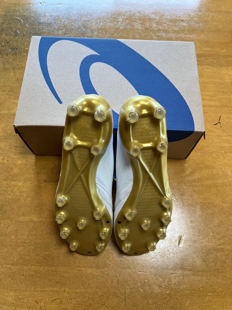 アシックス DS ライト X-FLY 4