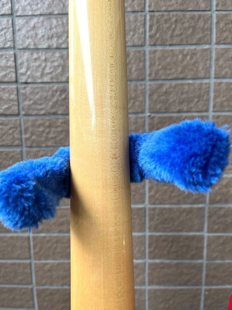 【動作◯】 シェクターネック コンポーネントギター